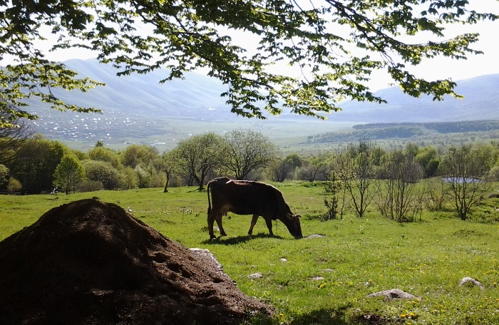 bedandbreakfast armenia